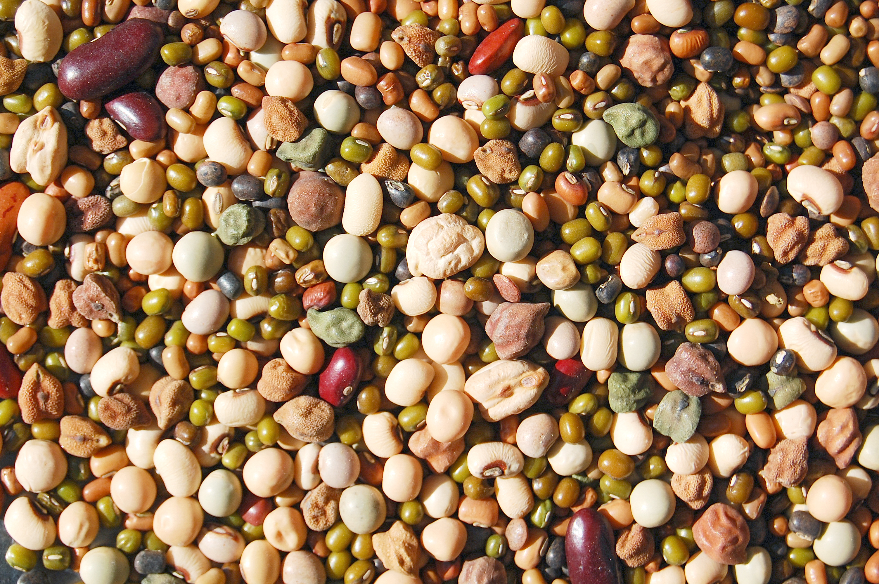 Whole mix Grains & Beans