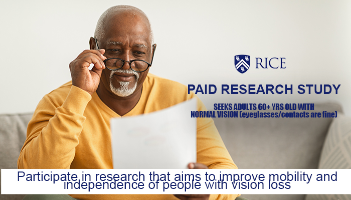 Rice University VR Lab Study