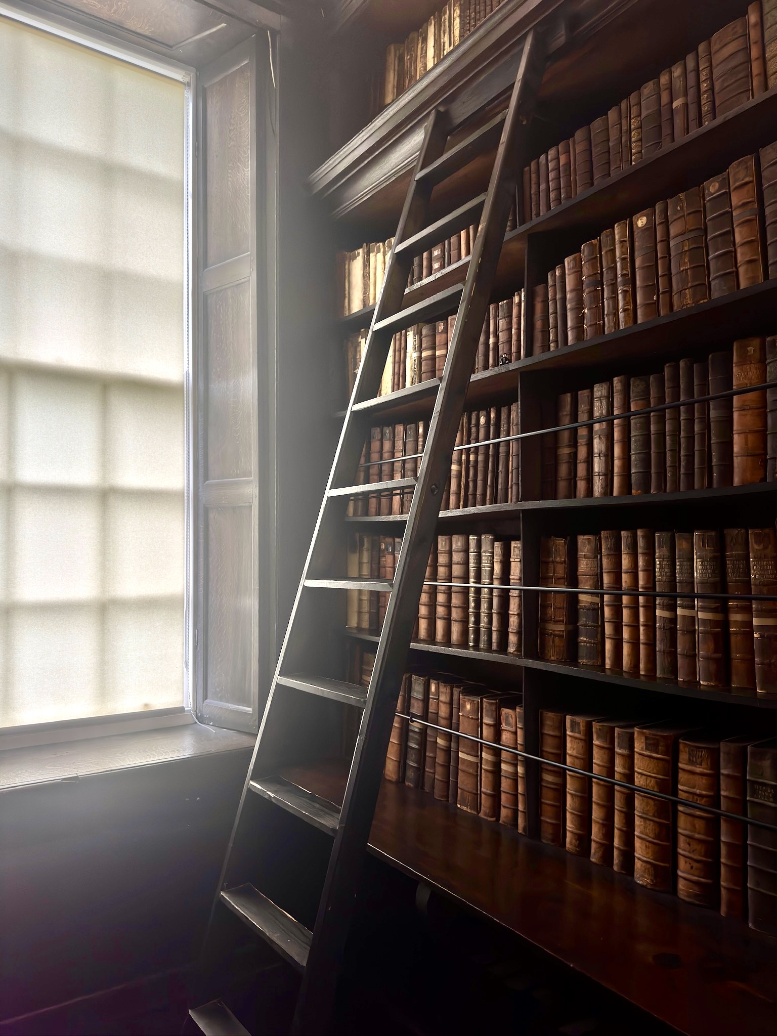 Row of old books in a library
