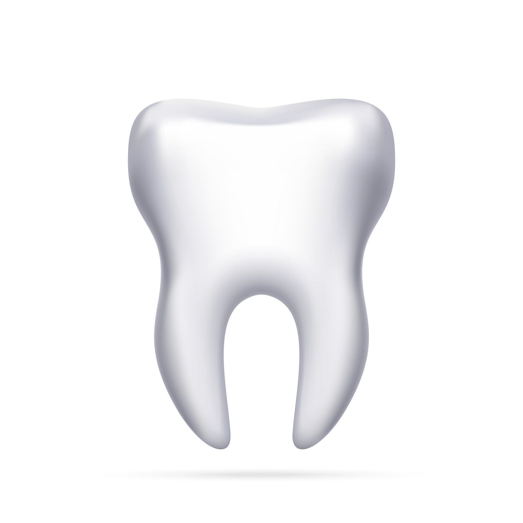 Tooth vector illustration. Realistic tooth. Illustration of a human tooth